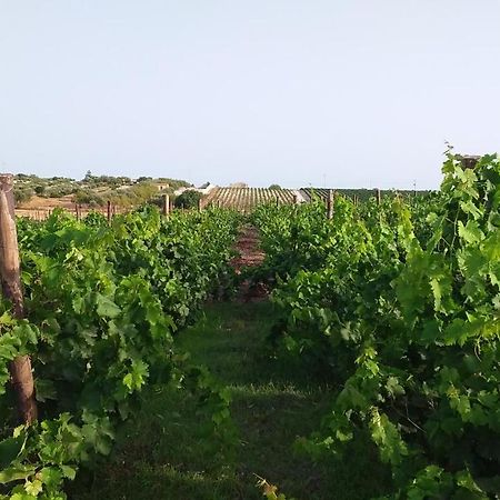 Cozzo Del Parroco - Ospitalita Tra I Vigneti Villa Granelli Eksteriør bilde