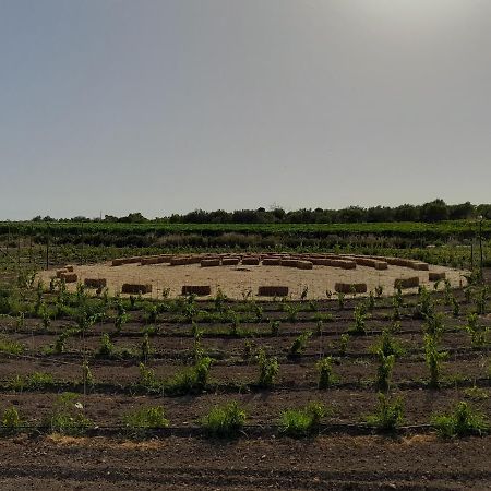 Cozzo Del Parroco - Ospitalita Tra I Vigneti Villa Granelli Eksteriør bilde