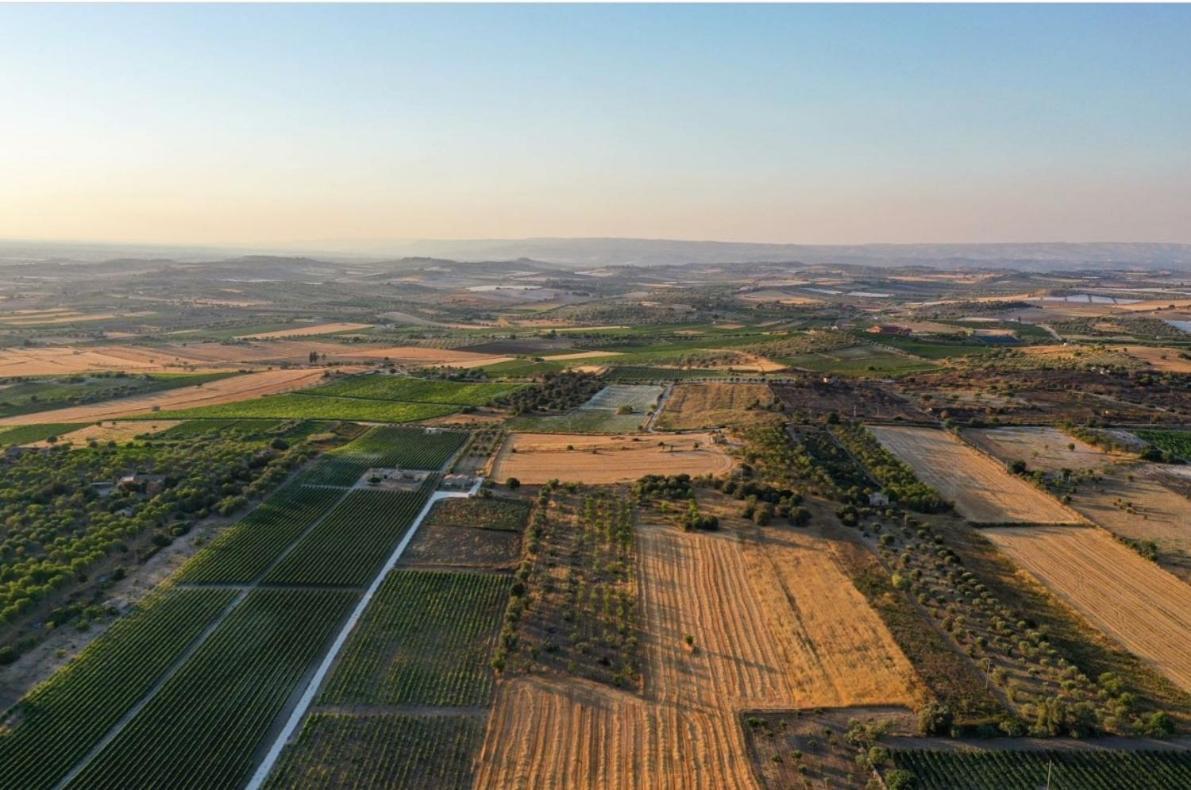 Cozzo Del Parroco - Ospitalita Tra I Vigneti Villa Granelli Eksteriør bilde