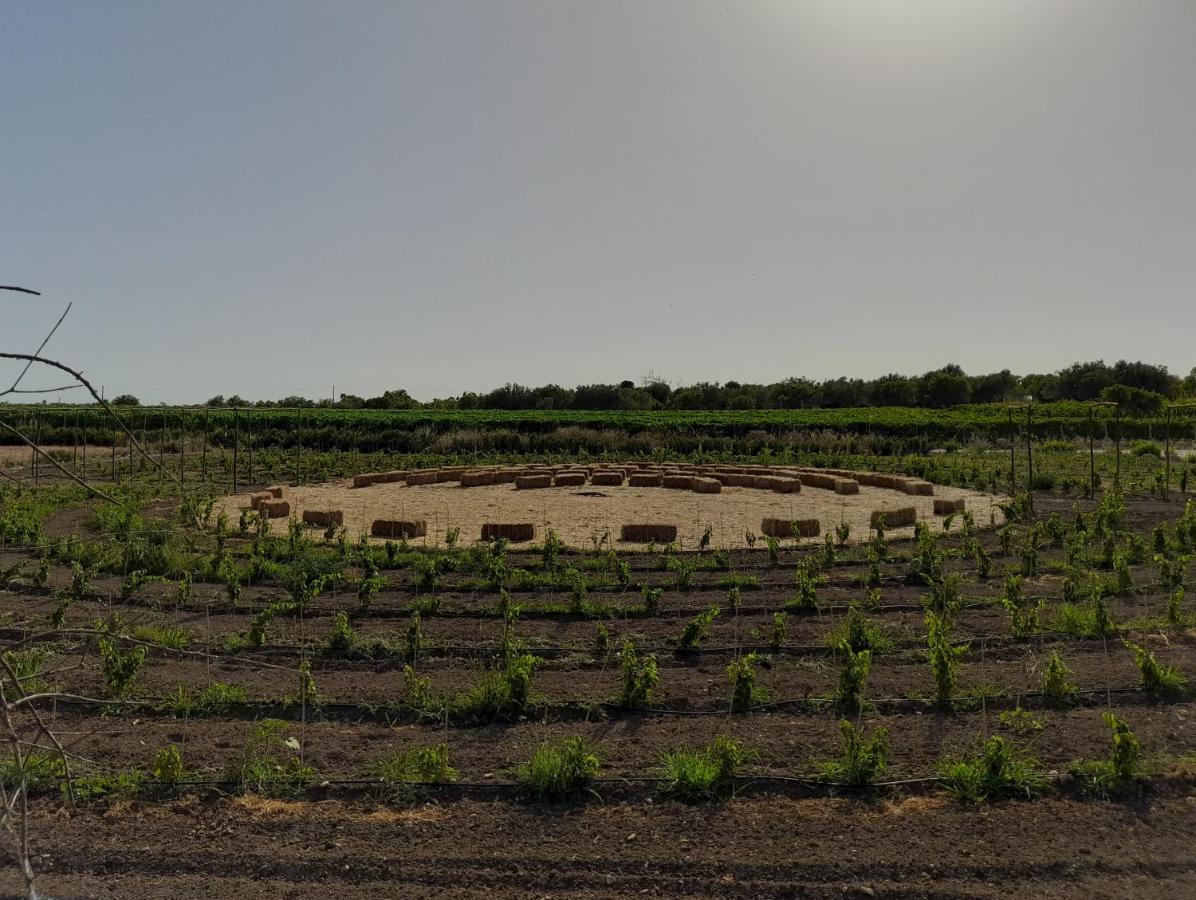 Cozzo Del Parroco - Ospitalita Tra I Vigneti Villa Granelli Eksteriør bilde